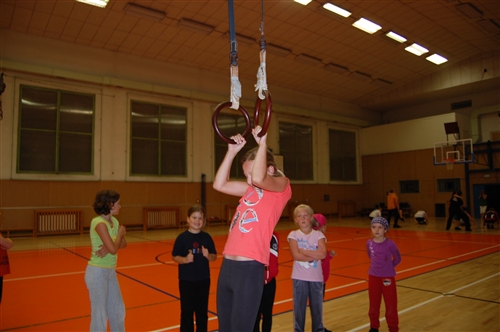 Obrázek v galerii